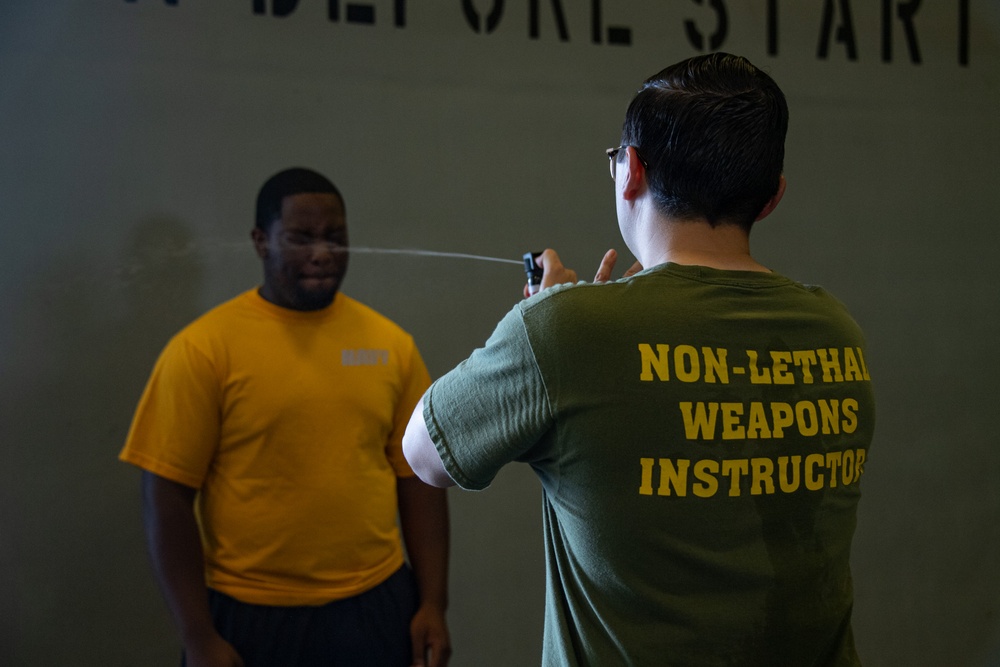 USS America (LHA 6) Conducts Security Training