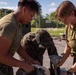 GATOREX 25.2 | U.S. Marines train in logistical operations in Okinawa, Japan