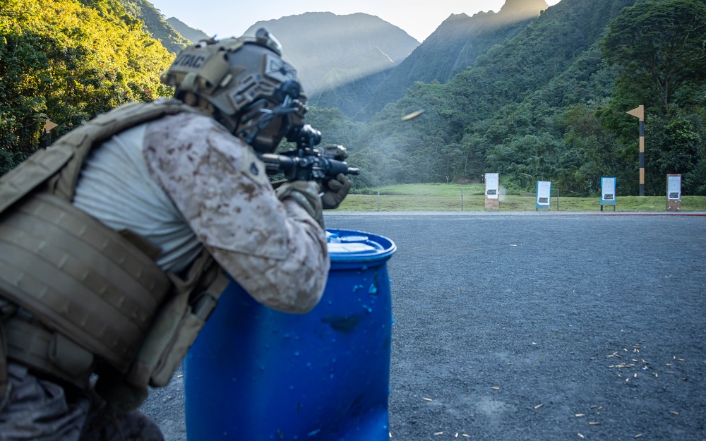 3rd ANGLICO in Tahiti:Exercise DELAYEN: 3rd ANGLICO live fire training in Tahiti