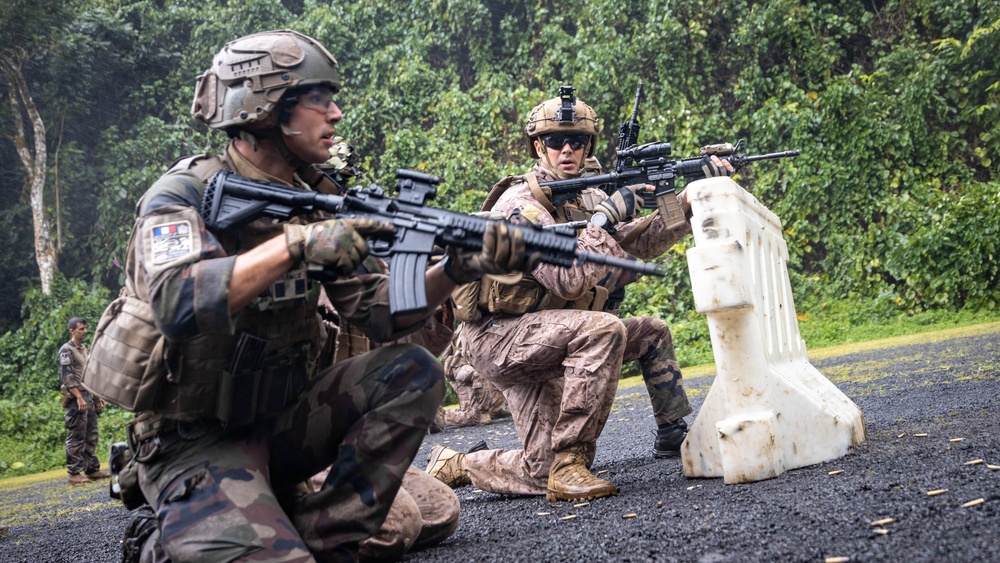 Exercise DELAYEN: 3rd ANGLICO live fire training in Tahiti