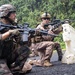 Exercise DELAYEN: 3rd ANGLICO live fire training in Tahiti