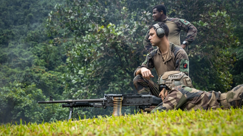 Exercise DELAYEN: 3rd ANGLICO live fire training in Tahiti