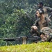 Exercise DELAYEN: 3rd ANGLICO live fire training in Tahiti