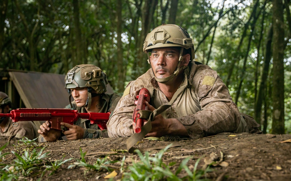Exercise DELAYEN: 3rd ANGLICO Squad and Water Obstacle Course in Tahiti