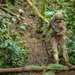 Exercise DELAYEN: 3rd ANGLICO Rappel Course in Tahiti