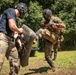 Exercise DELAYEN: 3rd ANGLICO Spar PT in Tahiti