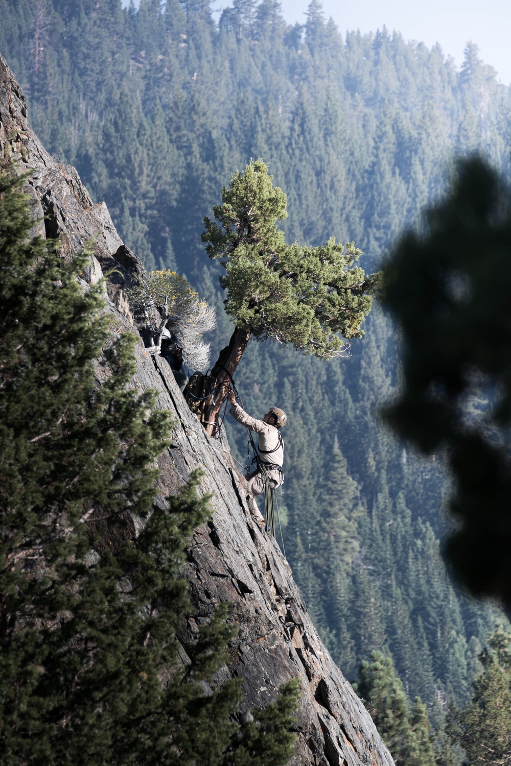 V35 and V11 Marines conduct climbing techniques during Assault Climbers Course