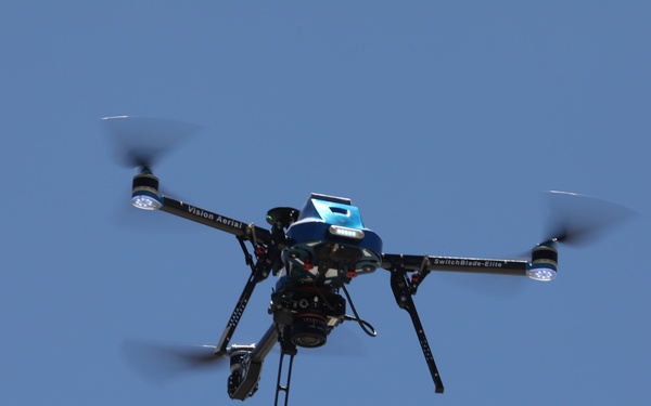 Aerial Eye on the Forest