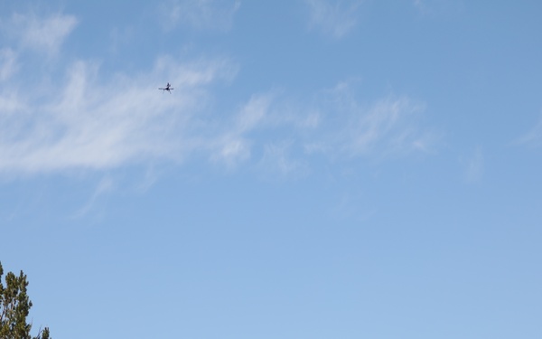 Aerial Eye on the Forest