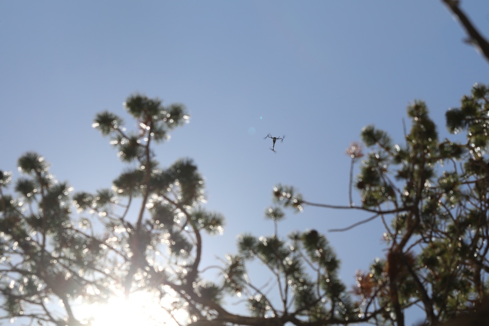 Aerial Eye on the Forest