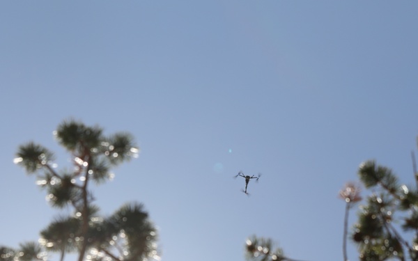Aerial Eye on the Forest