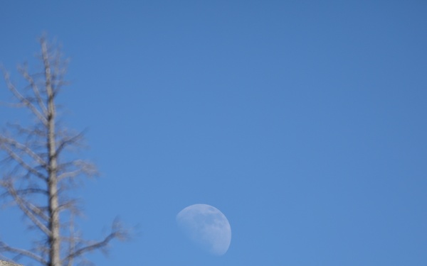 Aerial Eye on the Forest