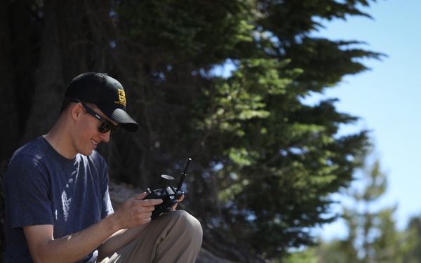 Aerial Eye on the Forest
