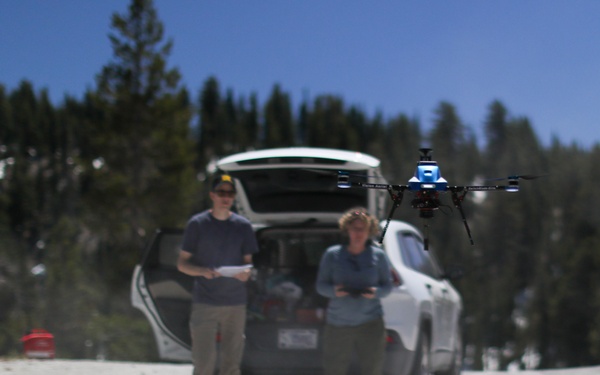 Aerial Eye on the Forest