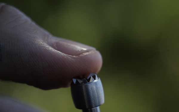 Aerial Eye on the Forest