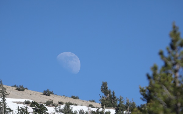 Aerial Eye on the Forest