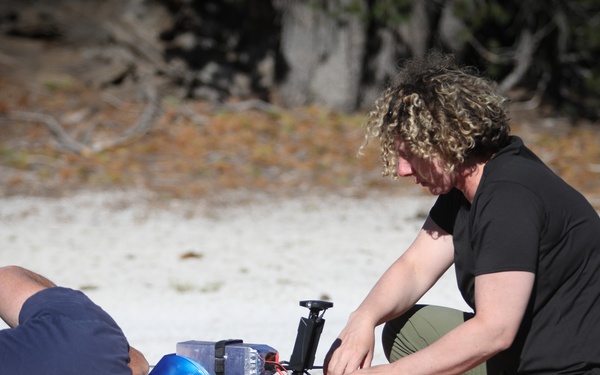 Aerial Eye on the Forest