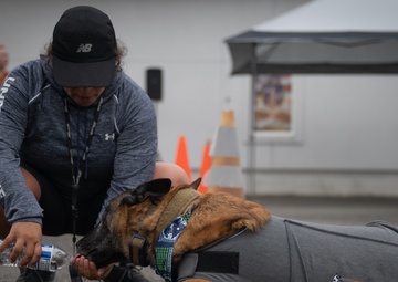 One Team, One Fight: WA National Guard Hosts Suicide Prevention 5K