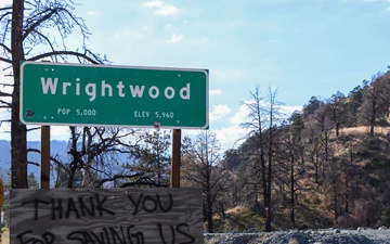 A flame without fuel: When wildfire meets thinned forests
