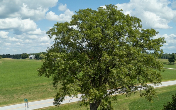 U.S. Border Patrol Swanton Sector