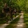 Wisconsin National Guard hosts Norwegian Ruck March