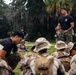 November Company Land Navigation Classes