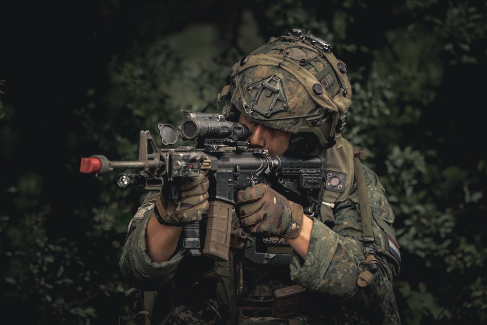 Saber Junction 25, 17th Light Armored BN