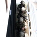 Special Forces Closed-Quarter Battle Training