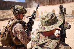 Marines with FASTCENT, partner nations service members participate in live-fire exercise during BRIGHT STAR 25 [Image 4 of 13]