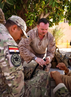 Marines with FASTCENT, Egyptian and Saudi special operations forces train during BRIGHT STAR 25 [Image 8 of 8]