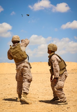 U.S. Marines with 4th Combat Engineer Battalion, 4th Marine Division conduct pistol, grenade range during BRIGHT STAR 25 [Image 6 of 12]