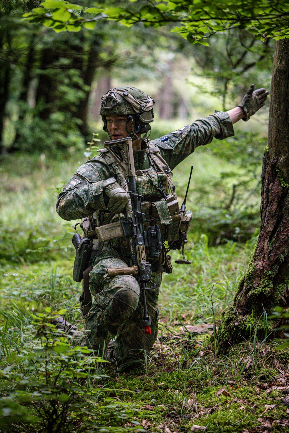 Saber Junction 25, 17th Light Armored BN