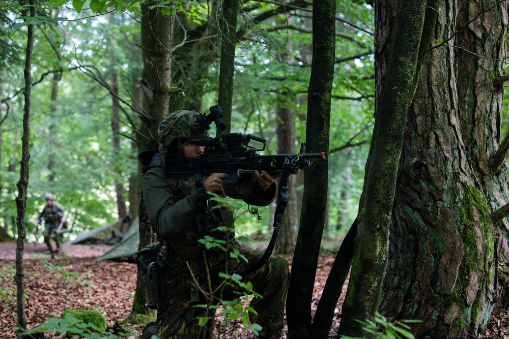Saber Junction 25, 17th Light Armored BN