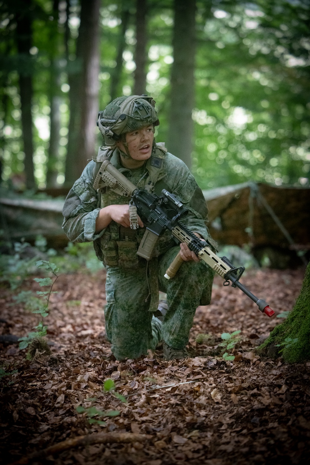 Saber Junction 25, 17th Light Armored BN