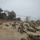 9th Communications Battalion conduct MCMAP