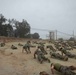 9th Communications Battalion conduct MCMAP
