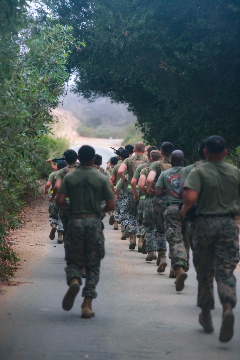 1st MLG Marines Execute NCO PT