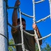 104th Fighter Wing Maintenance Group bolsters readiness through team-building challenges