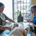 Pacific Partnership 2025 Multi-National Partners Conduct Spay and Neutering Operations in Pohnpei September 2025