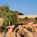 USNMRTC Sigonella Awards Ceremony 15AUG2025