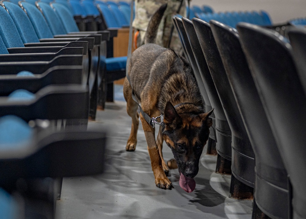 822 BDS conducts MWD training and validation