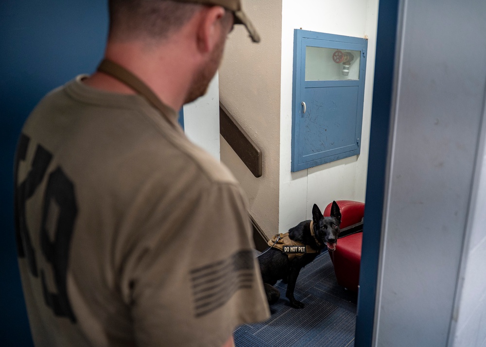 822 BDS conducts MWD training and validation