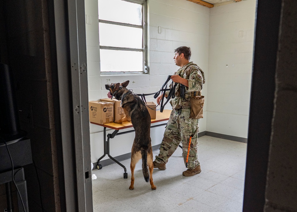 822 BDS conducts MWD training and validation