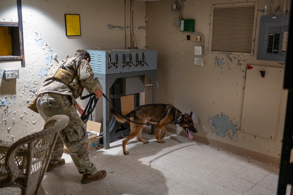822 BDS conducts MWD training and validation