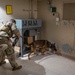 822 BDS conducts MWD training and validation