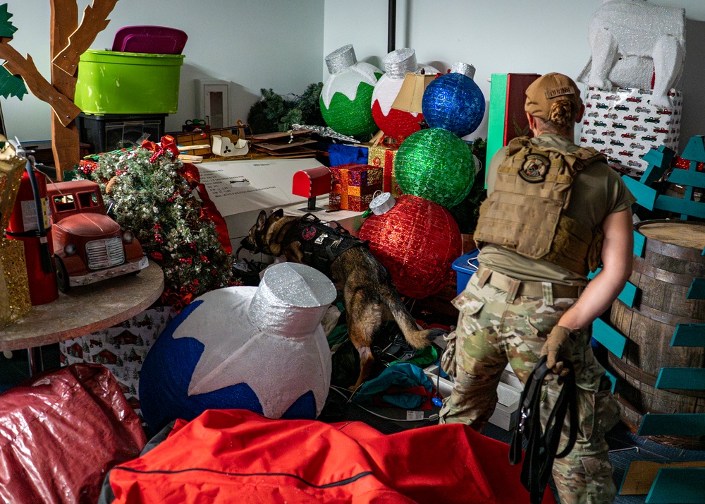 822 BDS conducts MWD training and validation