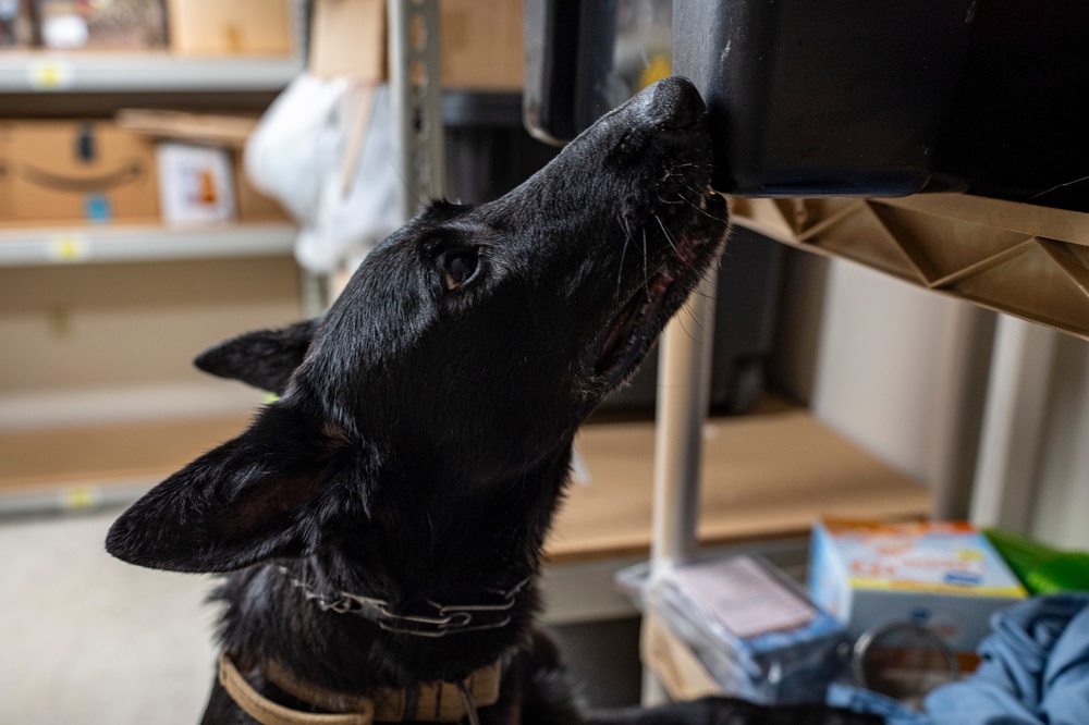 822 BDS conducts MWD training and validation