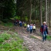 Binsfeld Forest Walk Strengthens U.S. - German Partnerships