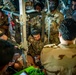 Bright Stars Shine Over Egypt