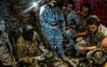 Bright Stars Shine Over Egypt